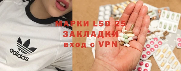 прущие грибы Алзамай