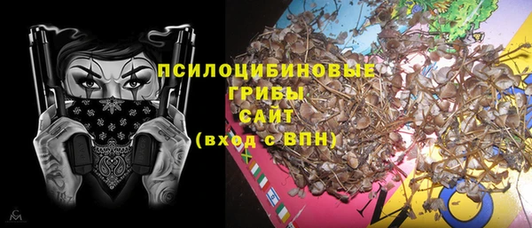 прущие грибы Алзамай