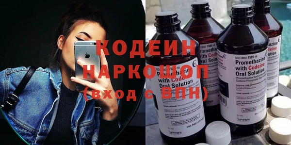 прущие грибы Алзамай